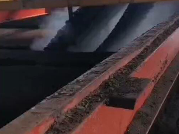 ���׻�������Ƶ